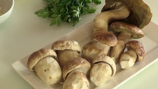 RISOTTO AI FUNGHI PORCINI  Video Ricetta  Grigio Chef [upl. by Natale]