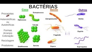 Aula 03 Microbiologia  Bactérias [upl. by Ellehcsor]