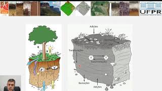 Processos Gerais de Formação do Solo [upl. by Haakon]
