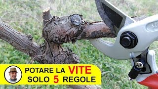 POTARE LA VITE SOLO 5 REGOLE [upl. by Tybalt26]