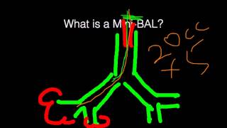 What is a Mini BAL Bronchoalveolar Lavage [upl. by Anilecram]