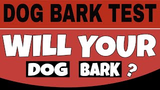 Dog Bark Test  This Sound Will Make Your Dogs Barking [upl. by Shakti]