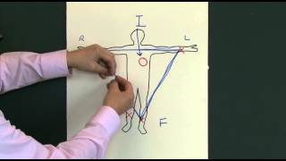 12 Lead EKG ECG [upl. by Zat]