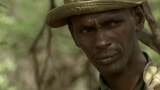 Heartbreaking Truth About Elephant Poaching  This Wild Life  BBC Earth [upl. by Kemme]