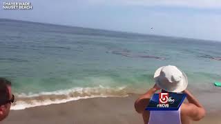 Video shows shark attack feet away from Cape Cod surfers [upl. by Notanhoj806]