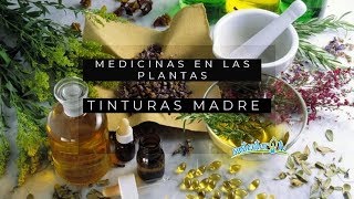 Plantas medicinales tinturas madres [upl. by Alsworth]