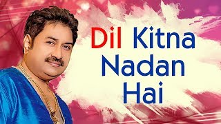 Kumar Sanu 90s hits  Dil Kitna Nadan Hai  Raja amp Rajeshwari  Best of kumar Sanu Song [upl. by Llehsim]