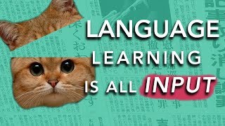 How to Learn a Language INPUT Why most methods dont work [upl. by Stouffer]