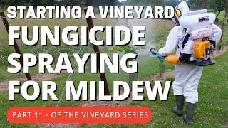 Starting a vineyard part 11  Fungicide spraying for Mildew and other fungal infections [upl. by Rednasxela]