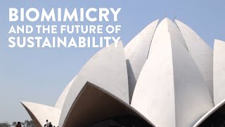 Biomimicry and The Future of Sustainability [upl. by Enale328]