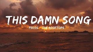 Pecos amp The Rooftops  This Damn Song Lyrics  25min Top Version [upl. by Airdnaid]