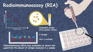 Radioimmunoassay RIA [upl. by Ahseim525]