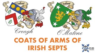 Irish Family Crest Not AngloIrish [upl. by Snave]