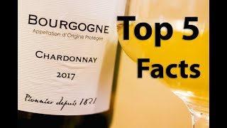 Chardonnay Wine 101  A Beginners Guide [upl. by Anauj90]