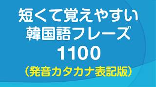 短くて覚えやすい🇰🇷 韓国語会話フレーズ1100（発音カタカナ表記版） [upl. by Stelle]