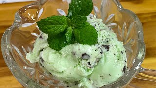 SIMPLE Mint Chocolate Chip IceCream Recipe Quick amp Easy [upl. by Burton922]