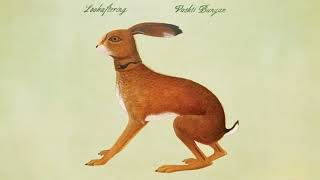 Vashti Bunyan  Brother Instrumental [upl. by Altman]