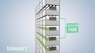 Vertical Farms  Design and Innovation  TakePart [upl. by Markos]