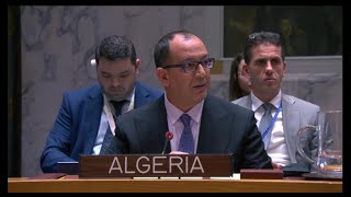 Représentant Permanent adjoint de lAlgérie au CSNU sur la situation en Ukraine [upl. by Suirred]