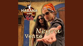 Vente Negra [upl. by Cavanaugh]