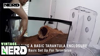 Building a basic tarantula enclosure  Basic Set Up For Tarantulas [upl. by Prince160]