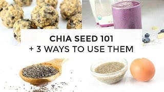 Chia Seed 101  3 Ways To Use Chia Seeds [upl. by Auhsej]