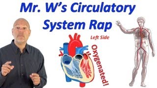 Circulatory System Rap Pump it Up [upl. by Trudie]