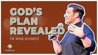 Fr Michael Schmitz  Gods Plan Revealed  Steubenville Youth Conference [upl. by Hughett590]