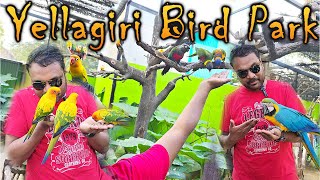 Yellagiri Bird Park  பறவை மனிதன்  FunderaPark [upl. by Gisela16]