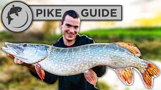 A Beginners Guide To Pike Fishing  Tactics Bait Lures Rigs and Unhooking [upl. by Turro]