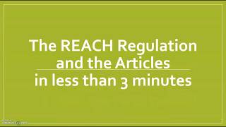 The EU REACH Regulation and the Articles [upl. by Sinned]