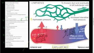 43Hemodynamic DisordersEdemaLymphatics Disorders lymphedema elephantiasis peau dorange [upl. by Magdala]