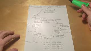 Ciclo di Krebs Semplificato  Biochimica [upl. by Bolitho619]