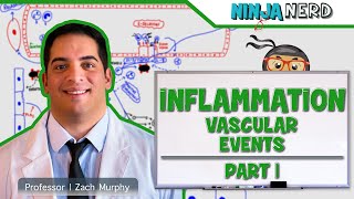 Immunology  Inflammation Vascular Events Part 1 [upl. by Mak]