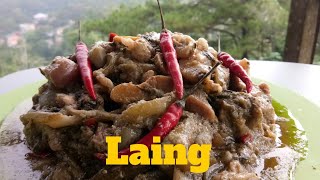 How to Cook Ginataang Laing Gabi  Laing Panlasang Pinoy [upl. by Goode]