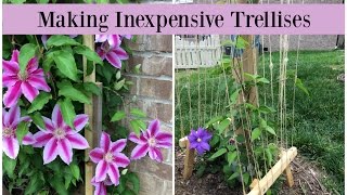 Making Inexpensive Trellises [upl. by Eetse]