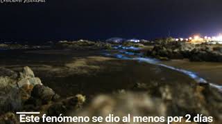 Bahía Inglesa bioluminiscente [upl. by Haleeuqa470]