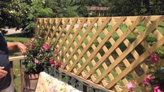 Build A Quick And Easy Trellis For Your Deck [upl. by Annoyt]