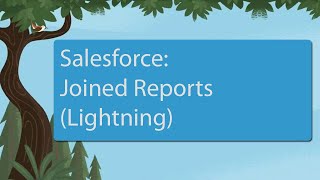 Salesforce Joined Reports Lightning [upl. by Yort572]