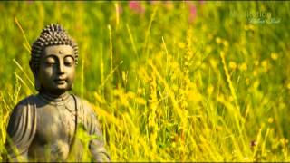 Zen Entspannungsmusik Wellness amp Regeneration Yoga Musik Tiefenentspannung amp Meditation [upl. by Mabel]