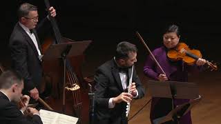 Sammartini Concerto in F major for Flute Strings and Continuo I Allegro [upl. by Enovi]