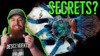 5 Things I Wish I Knew BEFORE Getting A Pet Tarantula [upl. by Yeldoow]