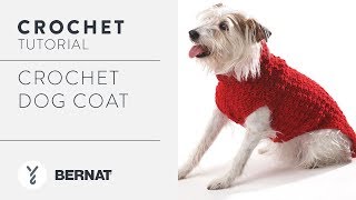 Crochet Dog Coat Tutorial [upl. by Eustache603]