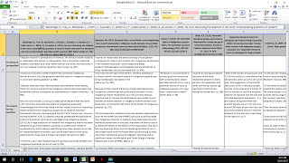 How to Create a Literature Matrix Excel [upl. by Mcgrath382]