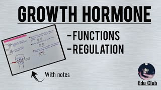 Growth Hormone  Functions  Regulation  Somatomedins  Endocrine Physiology [upl. by Legim]