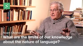 Language Design  Noam Chomsky  Serious Science [upl. by Vitoria]