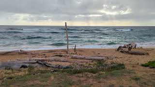 January 21 Hawaii Kauai Lydgate beech [upl. by Goldina]