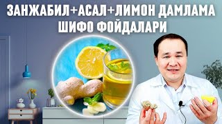 ИМБИРЬ АСАЛ ЛИМОН ТАБИИЙ ДАМЛАМА ШИФО ФОЙДАЛАРИ ХАҚИДА [upl. by Ahsiram405]