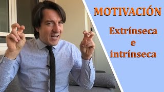 Tipos de motivación Extrínseca e intrínseca [upl. by Naveb392]