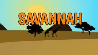 Diviners  Savannah feat Philly K Official Lyric Video [upl. by Lyndon392]